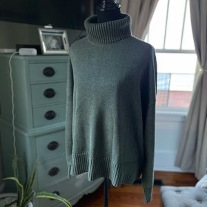 Gap Turtle Neck Sweater